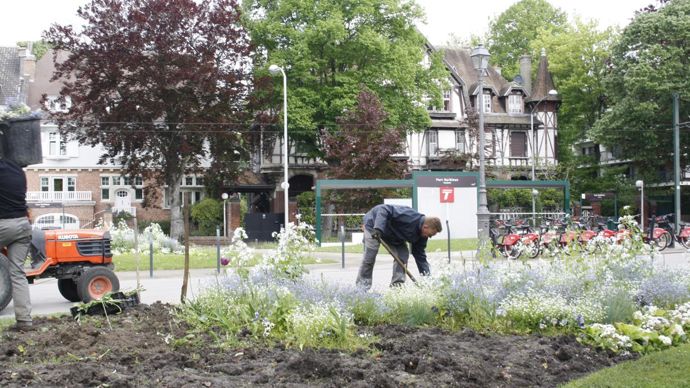 Au parc Barbieux aussi les agents ont commencé les déplantations. © L. Hespel